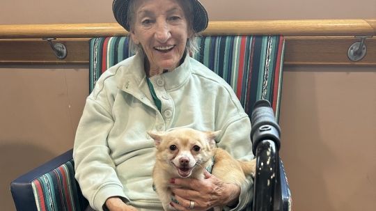 Animal Therapy at Weeroona Aged Care Centre